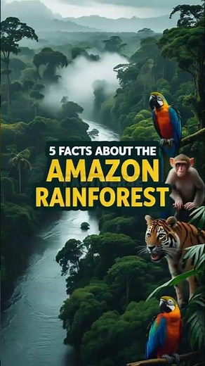 5 Fascinating Facts About the Amazon Rainforest