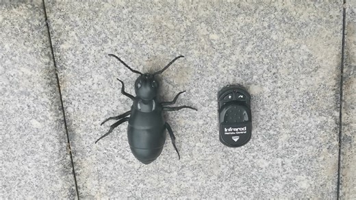 Watch rc ants remote control insect animal prank toy kids gifts on Amazon Live
