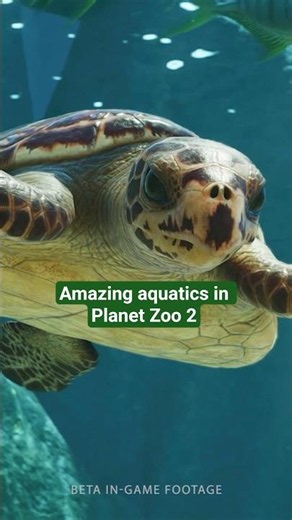Dive into the details of #PlanetZoo2