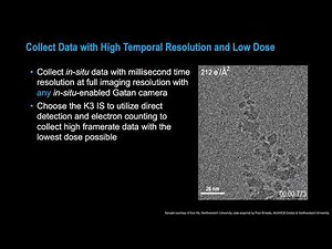 A Comprehensive In-Situ TEM Ecosystem from Gatan