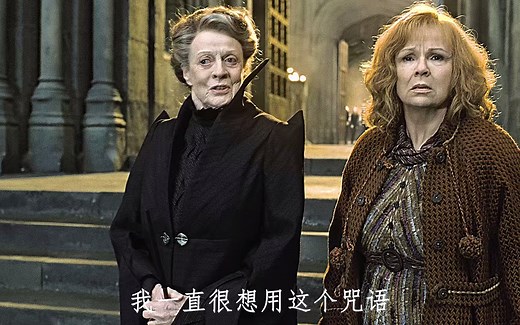 米勒娃·麦格，勇气智慧善良和无畏的精神！