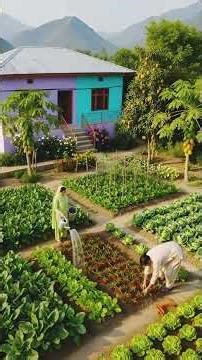 Real Village Life in Pakistan 🌾 | Fresh Vegetable Harvest & Peaceful Rural Living