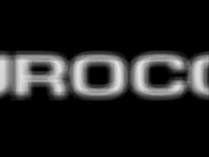 Eurocom Entertainment Software (1995-2003)