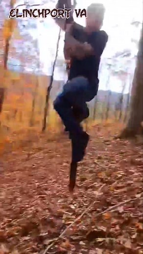 Clinchport VA vine I found near the old swinging bridge | Daniel Kelsey
