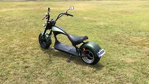Elektrische Scooter Mangosteen M1 M1p M2 M8 Citycoco E-chopper Electric Scooter 2000w 20ah Wholesale in Holland