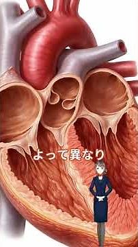 覚えにくい心臓の構造、これだけ（3セットまとめ） #人体の機能 #生理学 #循環器 #心臓 #心臓の構造 #国家試験対策 #臨床工学 #言語聴覚 #看護学生 #1分復習
