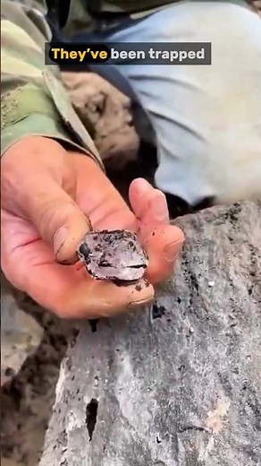 You Won't Believe Where Diamonds Are Found! #diamond
