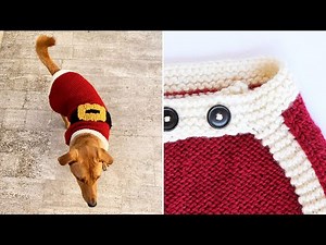 How to knit the dog coat border