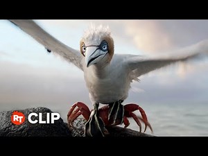 The Little Mermaid Movie Clip - You Listen to Me Bird (2023)