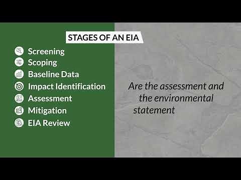 The EIA Process - English