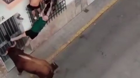 Spanish Bull Attacks Spectator in the Street