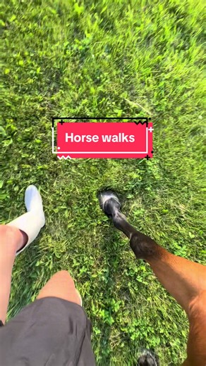 This was so hard 😂😂😂 #horsegirl #horsetok #hunterboots #hunterwellies