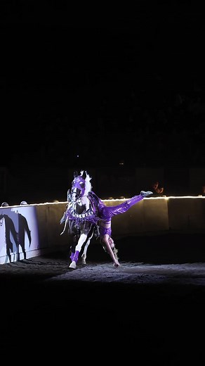 Amazing Trick Riding with Paint Horses