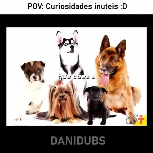Informação completamente útil para o enhore 😅 #edit #humor #meme #fyp #animal