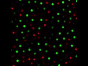 Defying gravity with the Brazil nut effect