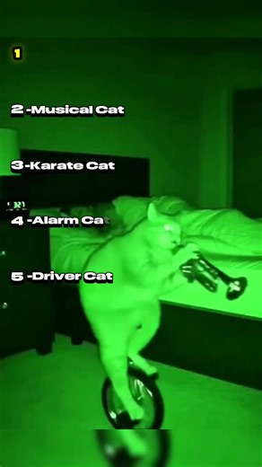 Ranking the Craziest AI Animal Moments! 🐾