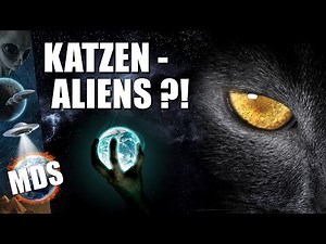 Cat aliens & paralysis rays in the UFO report Australia (UFO/Alien/Documentary/German/2021/New)