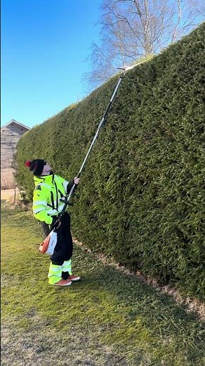 Korkean kuusiaidan leikkaaminen Stihl Combisystemillä.