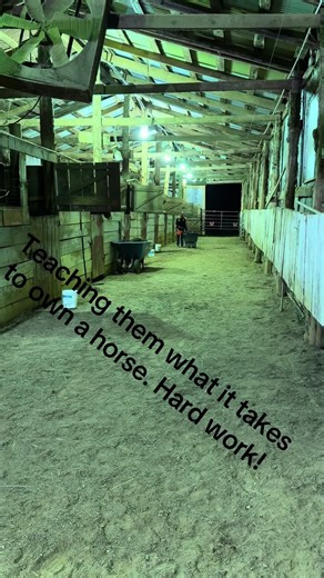 How to Clean Stalls and Feed Horses for Kids