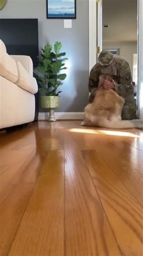 🐕 Blind Dog Knows Exactly Where Owner Is After Months Apart