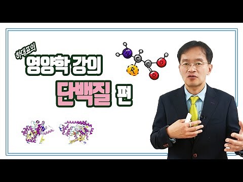 영양학강의 - 단백질 편