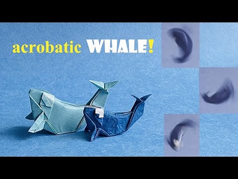 How to make an easy origami whale, step by step tutorial