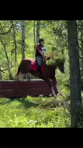 I was so excited for that jump it was so fun