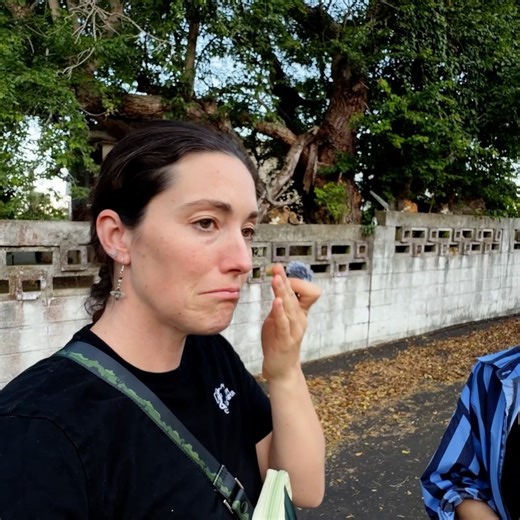 Dog Rescue in Puerto Rico. See who I end up bringing home to foster. Fly Dogz PR #dogrescue #straydogs #puertorico #doglover #travel #vanlife #fosterdog | Nikki Delventhal