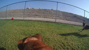 Watch Ready Set ACTION!!! on Amazon Live