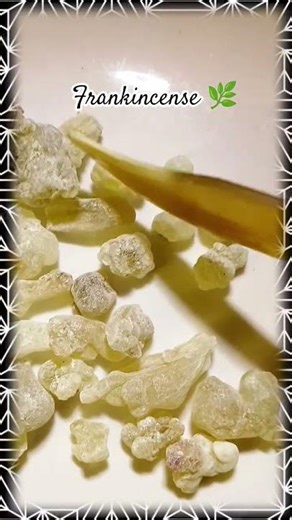 This rare and expensive herb was more valuable than gold #frankincense #health #meditation #sacred