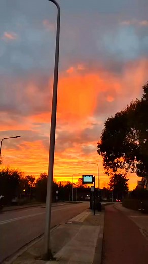 21 shares | Just finished up some work and now it's time to unwind. The sun is setting, casting a beautiful orange glow over everything . I'm thinking of grabbing some dinner and maybe watching a movie. Definitely looking forward to a relaxing night in. Hope you're all having a great evening too! #EveningVibes #Relax #GoodNight | 2AsianSisters | Facebook