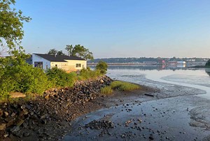 This South Portland Neighborhood Is Maine's Next Big Dining Destination