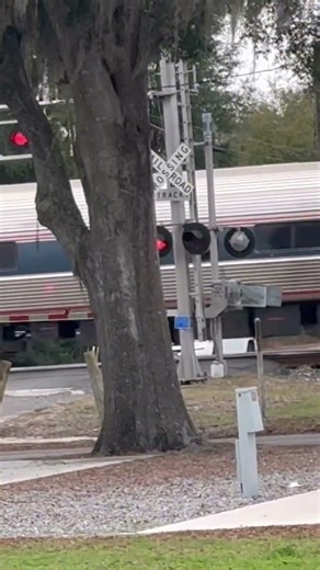 Southbound Amtrak P097 Silver Meteor passes Folkston, Ga on the CSX Nahunta subdivision!!