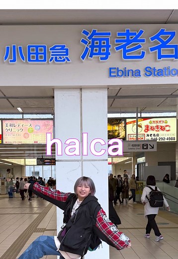 海老名の小田急線の旅を紹介