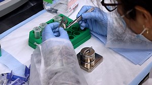 Lineage Tracing of Inducible Fluorescently-Labeled Stem Cells in the Adult Mouse Brain