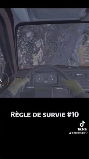 🛞 Code de la Route #1 : Sécurité de Déplacement #dayz #survival #tutorial
