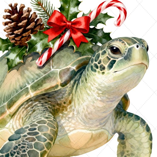 Coastal Christmas Turtle Clipart PNG, Beach Holiday Digital Download - Etsy