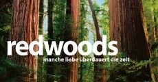 Redwoods (2009)  - Ver Película Completa en Español / Castellano - FULLTV