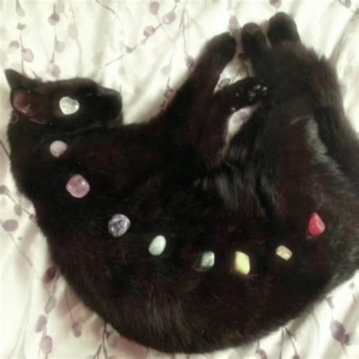 Exploring Fan Fiction Writing Ideas