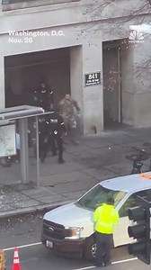 Video captured the moment police subdued a suspect after two National Guard members were shot in Washington, D.C. | NBC News