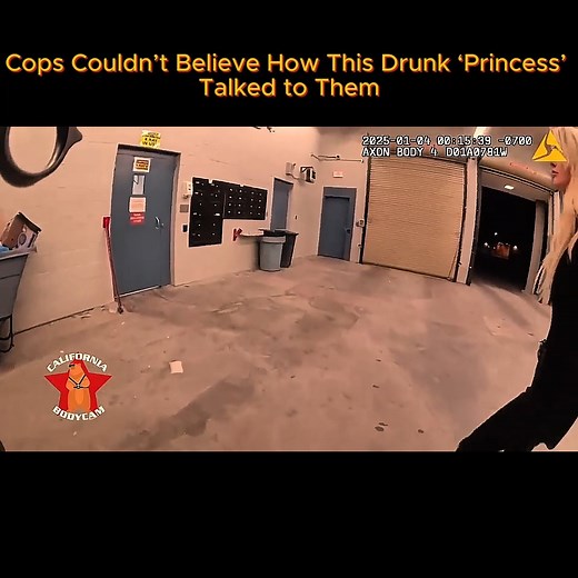 34K views · 551 reactions | Cops Couldn’t Believe How This Drunk ‘Princess’ Talked to Them  #cops #TyrantCops #Karen #Bodycam #audits | Body Cam Reports | Facebook