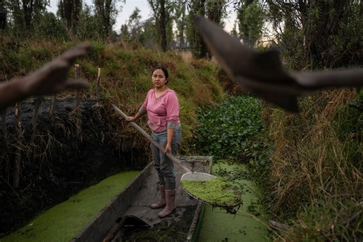 Women in Mexico step up to protect ancient Aztec farms and save a vanishing ecosystem
