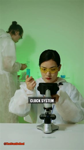 Your Brain Has a CLOCK Made of Neurons That Times Everything