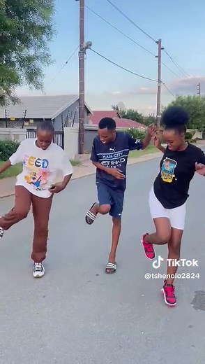 The Vibe Tribe (@vibe.tribe8)’s videos with original sound - The Vibe Tribe