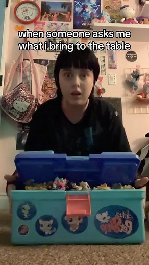 talula | the amount of comments i’ve gotten after making LPS related yt videos asking for a collection reveal 😭 (it’s overflowing) ___... | Instagram