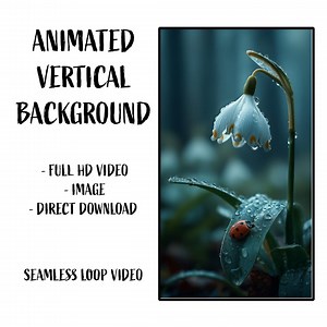 Ladybug in the Rain Nature Animated HD Video Loop and JPG Background for Phones - Etsy