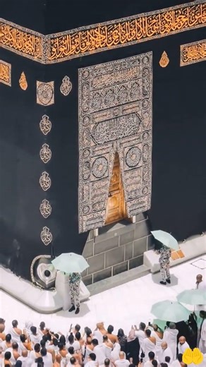 Masha, Allah makka live madina live #makkah #madina #shorts #hajjlive #shortvideo #mecca