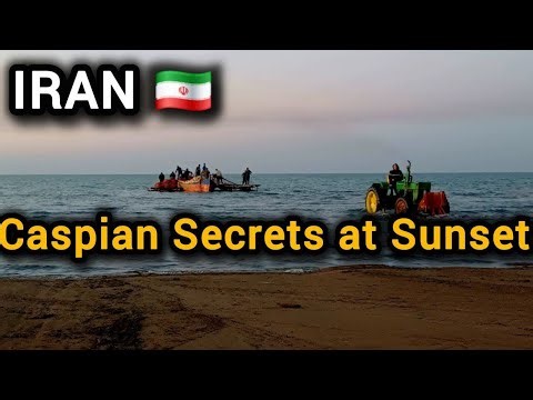 Walk With Me by the Beach 🌊 | Peaceful Coastal Walk & Nature Sounds