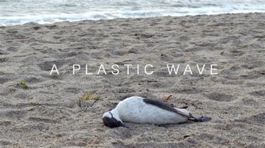 A short documentary on the plastic crisis