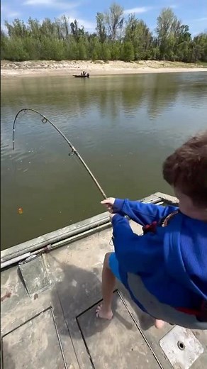 Trophy Gar on the Ugly Stik Tiger👀 #uglystik #garfishing #riverfishing #freshwaterfishing